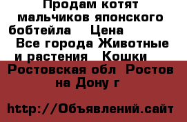 Продам котят мальчиков японского бобтейла. › Цена ­ 30 000 - Все города Животные и растения » Кошки   . Ростовская обл.,Ростов-на-Дону г.